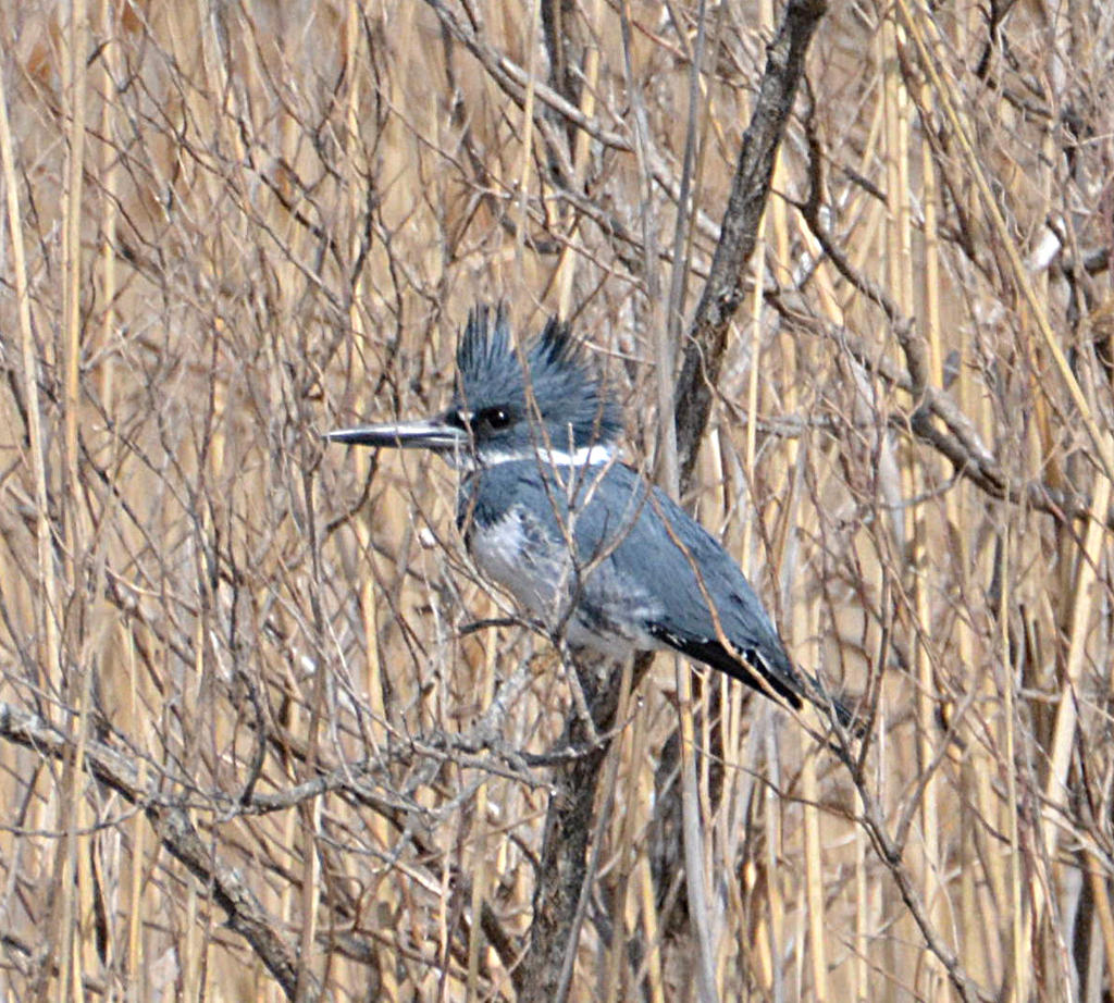 DSC_5319.jpg