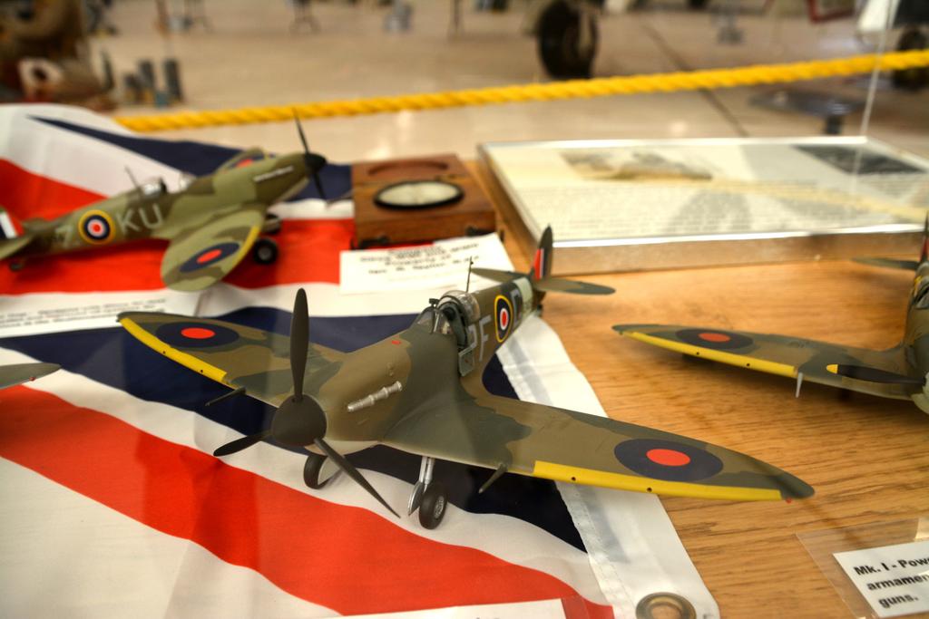 DSC_5321.jpg