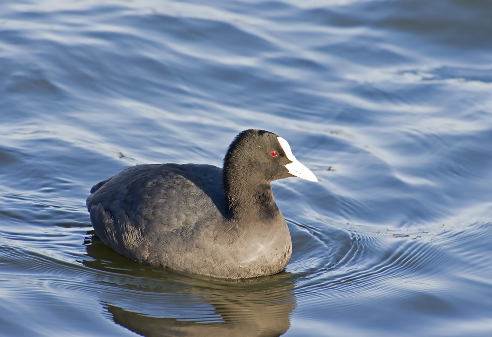 DSC_5324.jpg