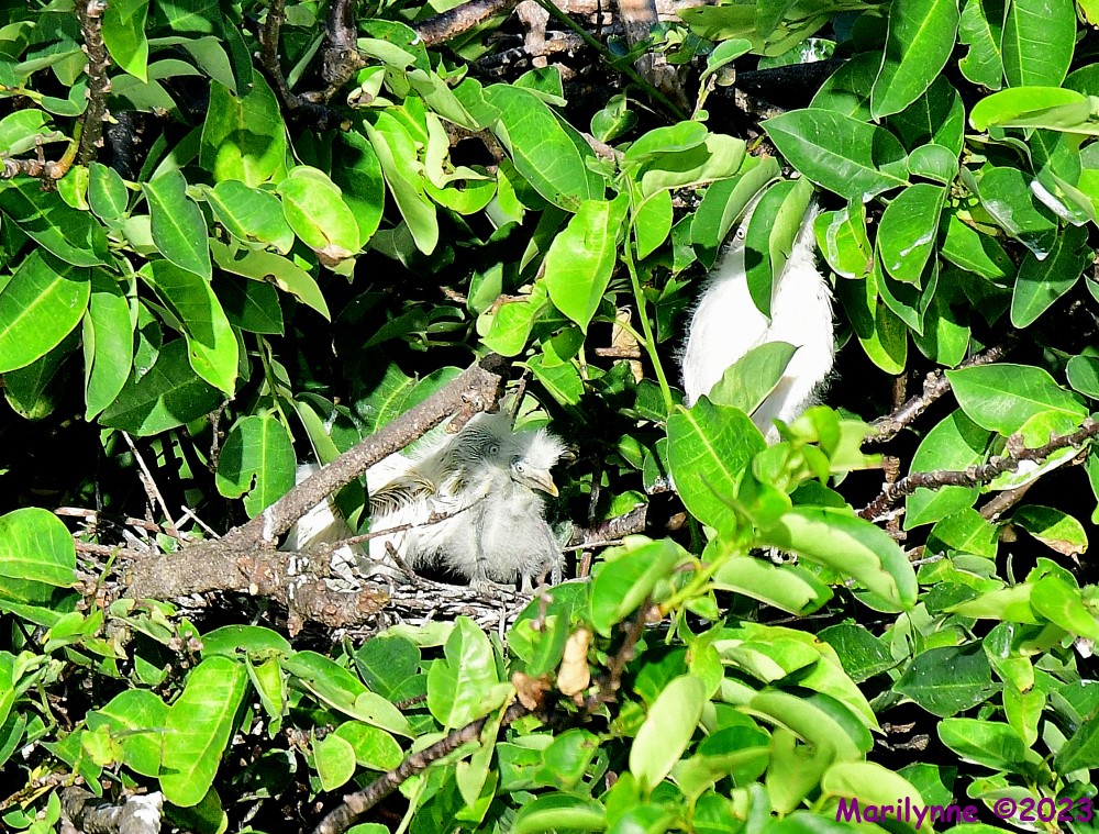 DSC_5325_001.JPG