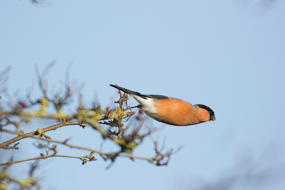 DSC_5329.jpg