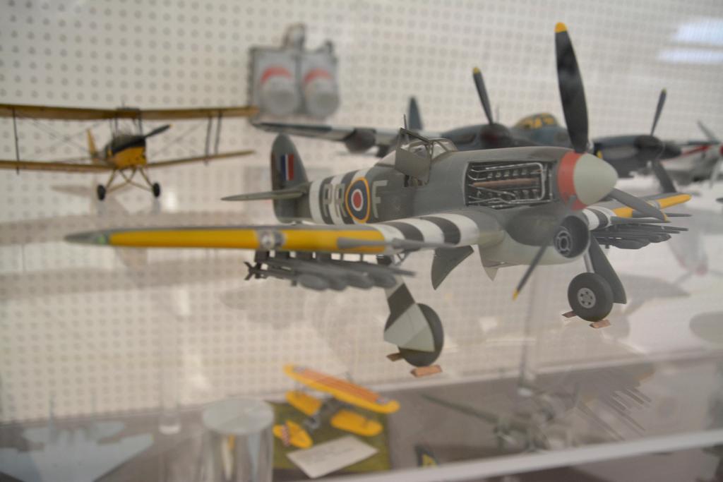 DSC_5339.jpg