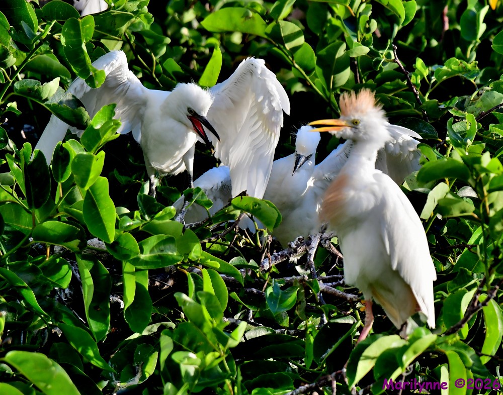 DSC_5340_001.JPG