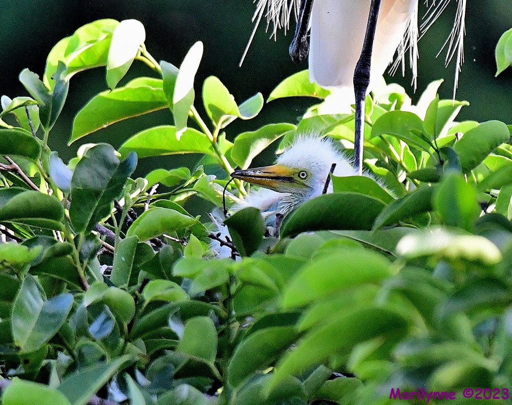 DSC_5342_001.JPG