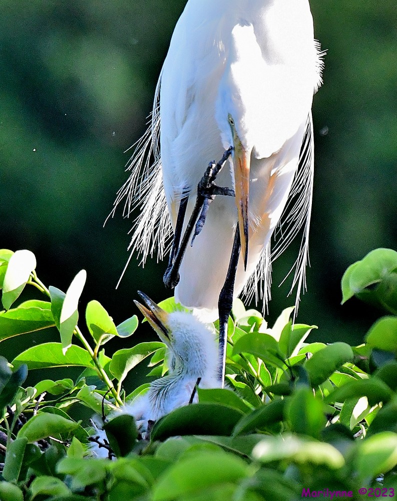DSC_5345_001.JPG