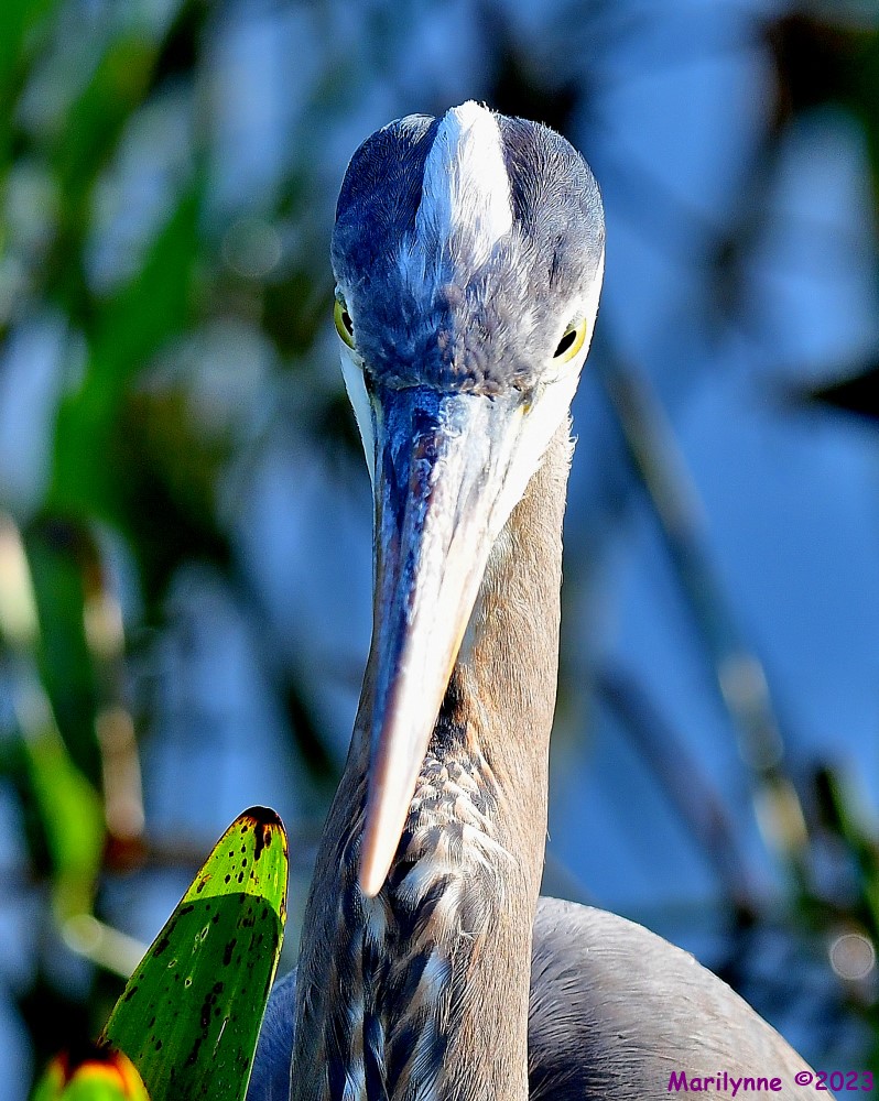 DSC_5346_001.JPG