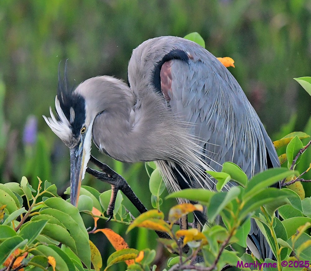 DSC_5346_001.JPG