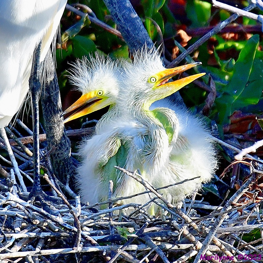 DSC_5349_001.JPG