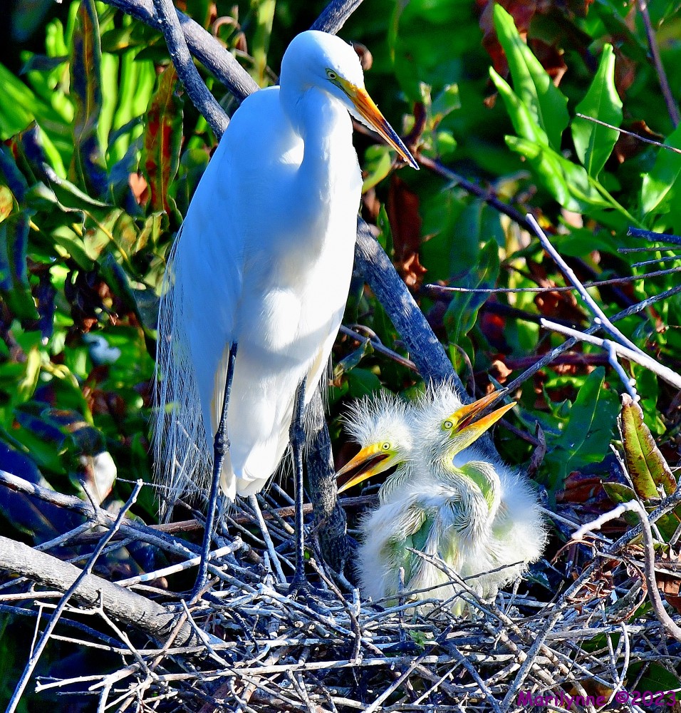 DSC_5350_001.JPG