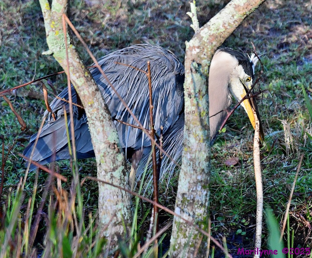 DSC_5350_001.JPG