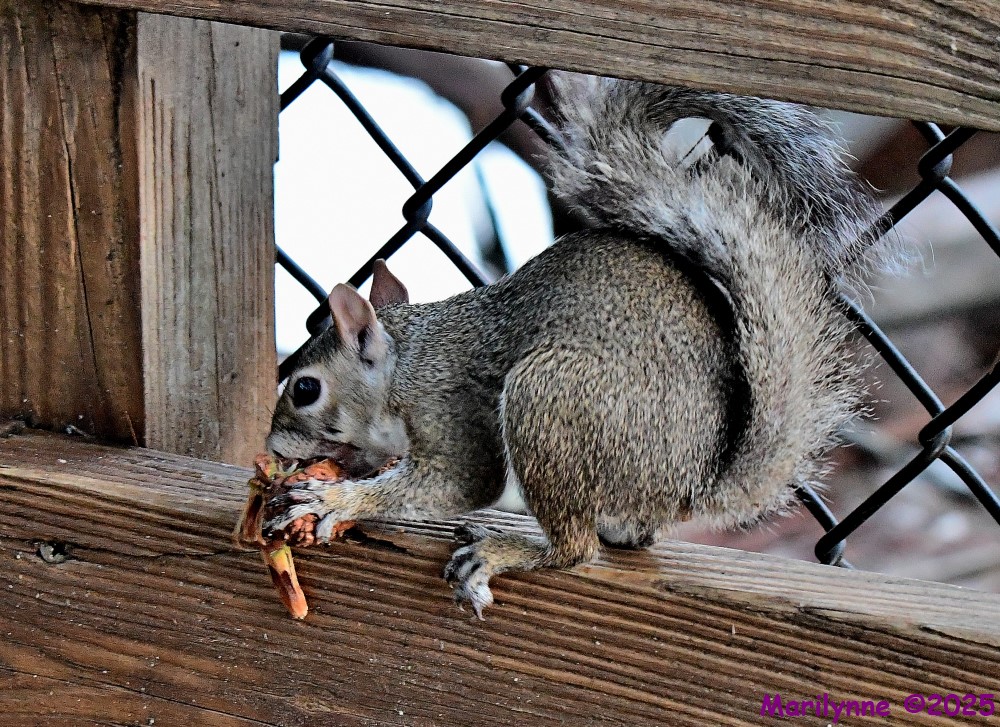DSC_5350_001.JPG