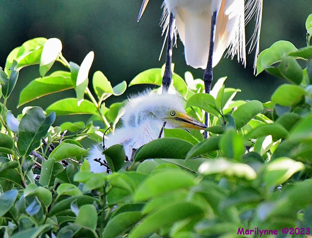 DSC_5351_001.JPG