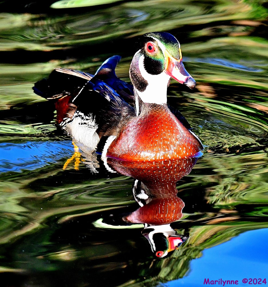 DSC_5355_001.JPG
