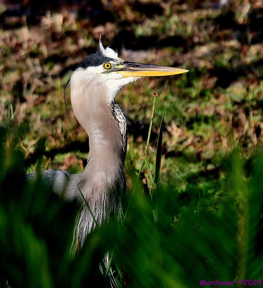 DSC_5355_001.JPG