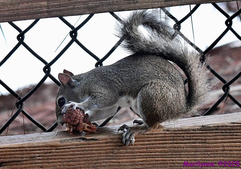DSC_5355_001.JPG