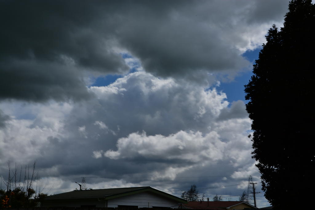 DSC_5359.jpg