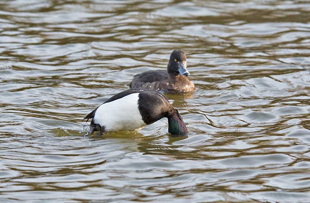 DSC_5360.jpg