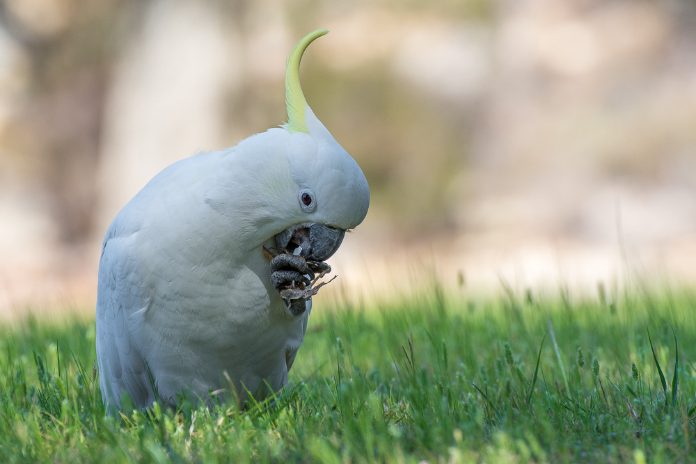 DSC_5360.jpg
