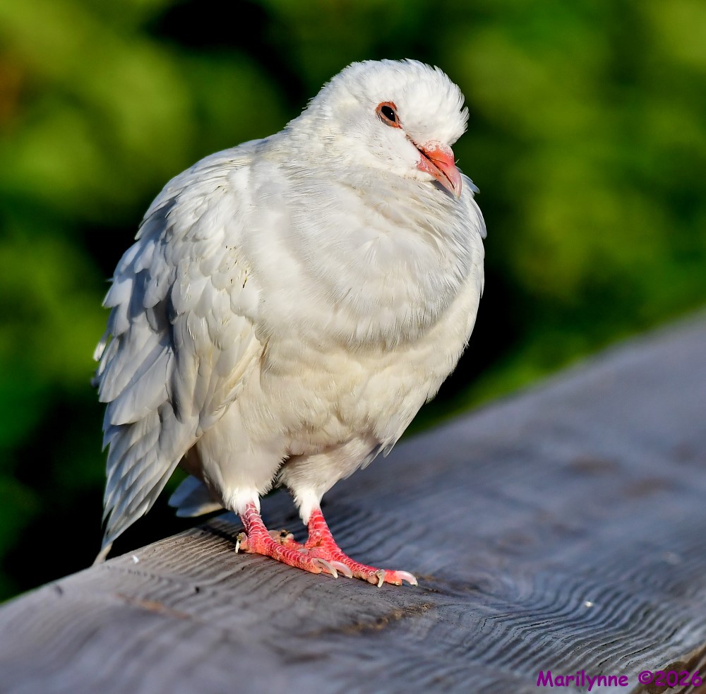 DSC_5360_001.JPG