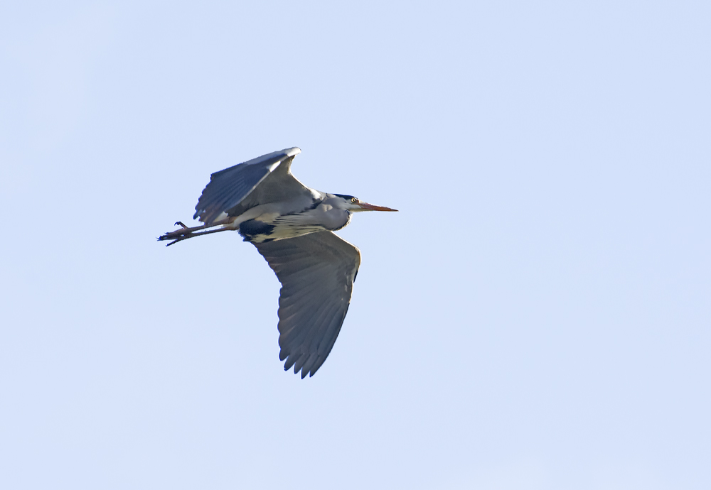 DSC_5363.jpg