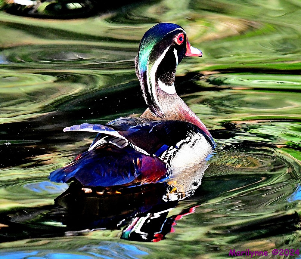 DSC_5363_001.JPG