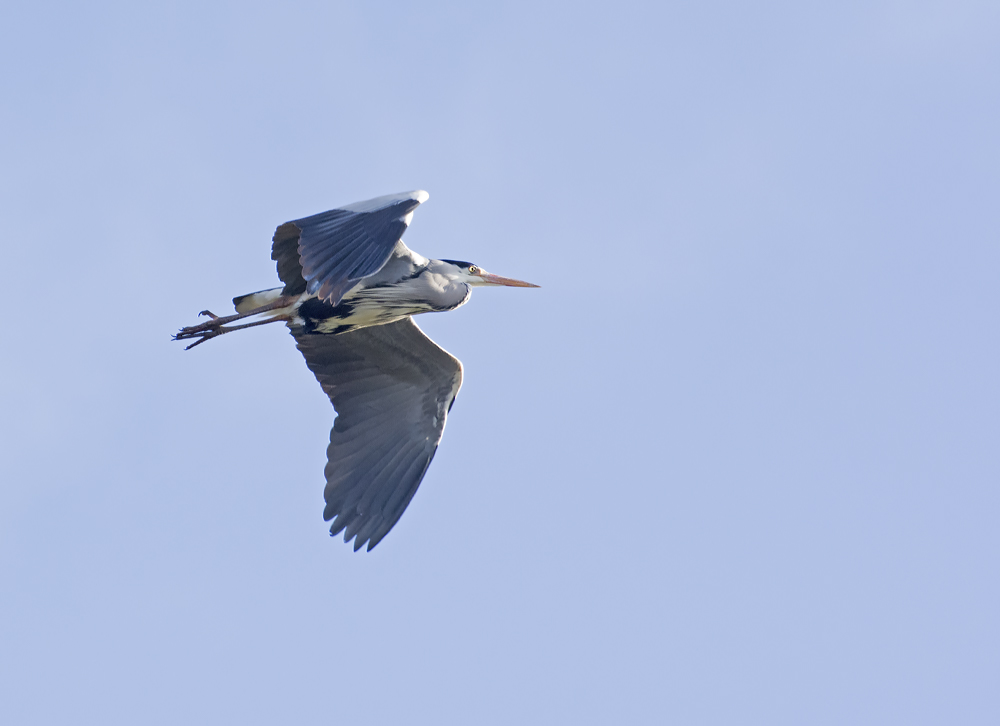DSC_5364.jpg