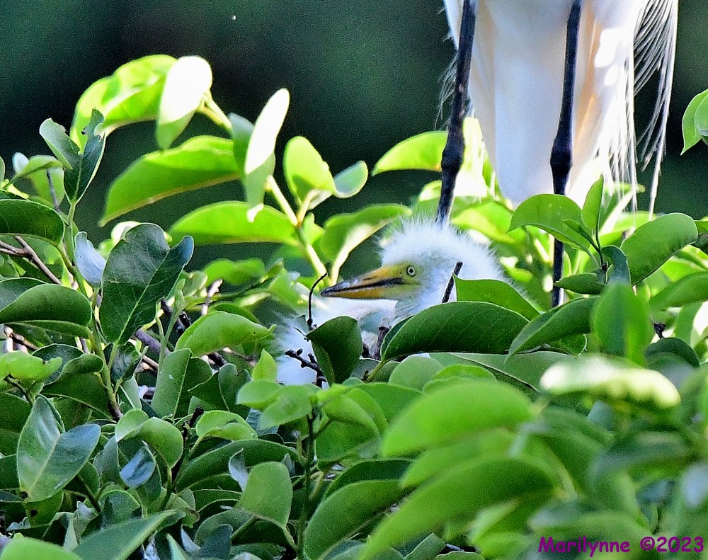 DSC_5366_001.JPG