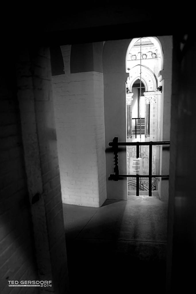 DSC_5369.jpg