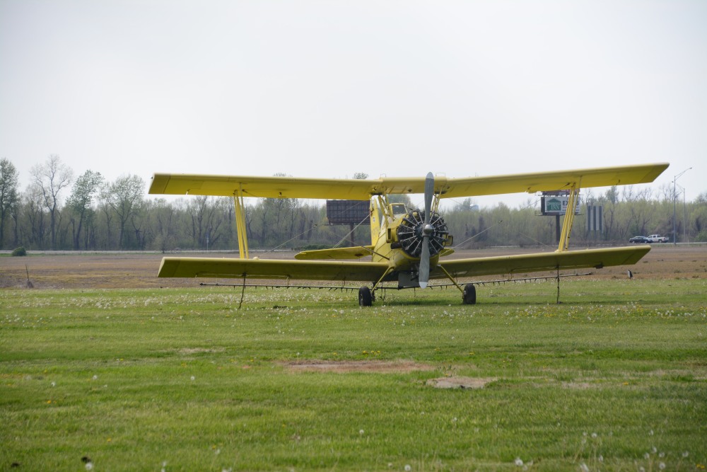DSC_5373.JPG