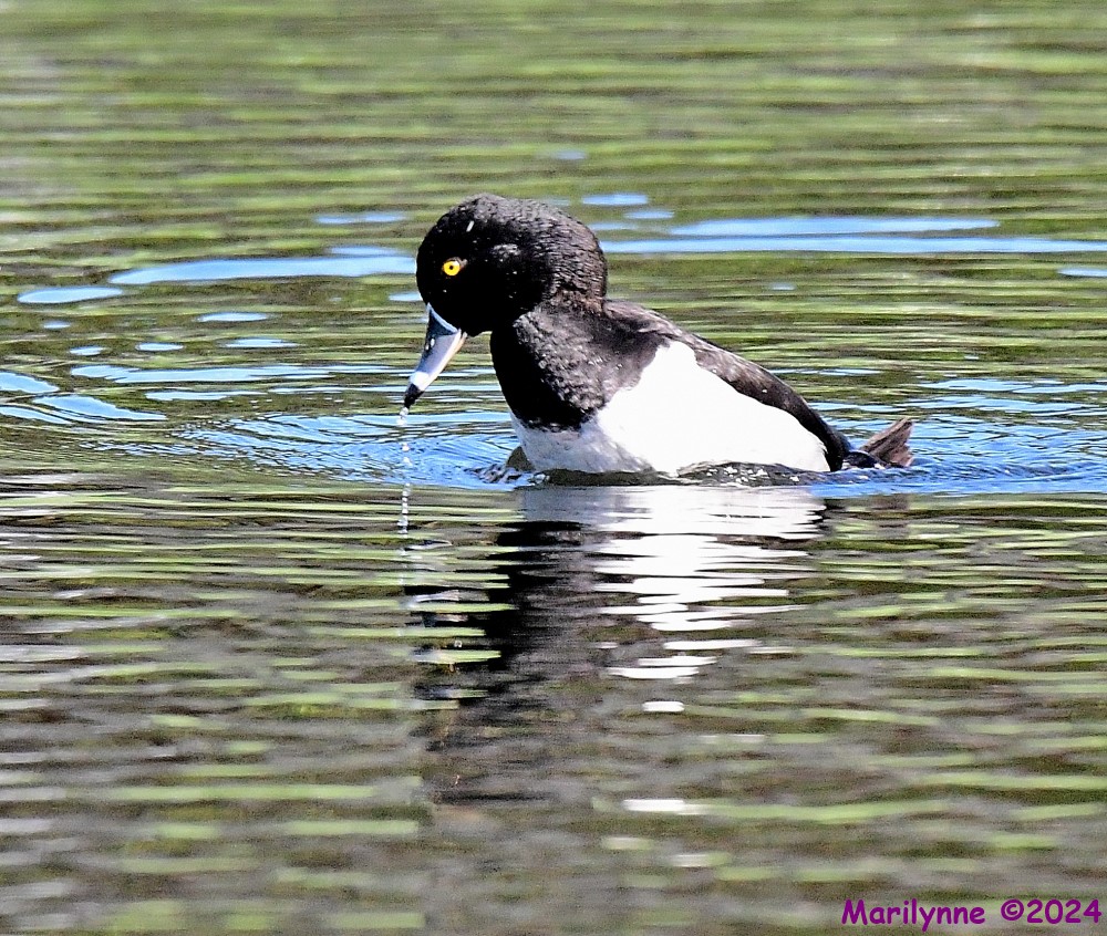 DSC_5378_001.JPG