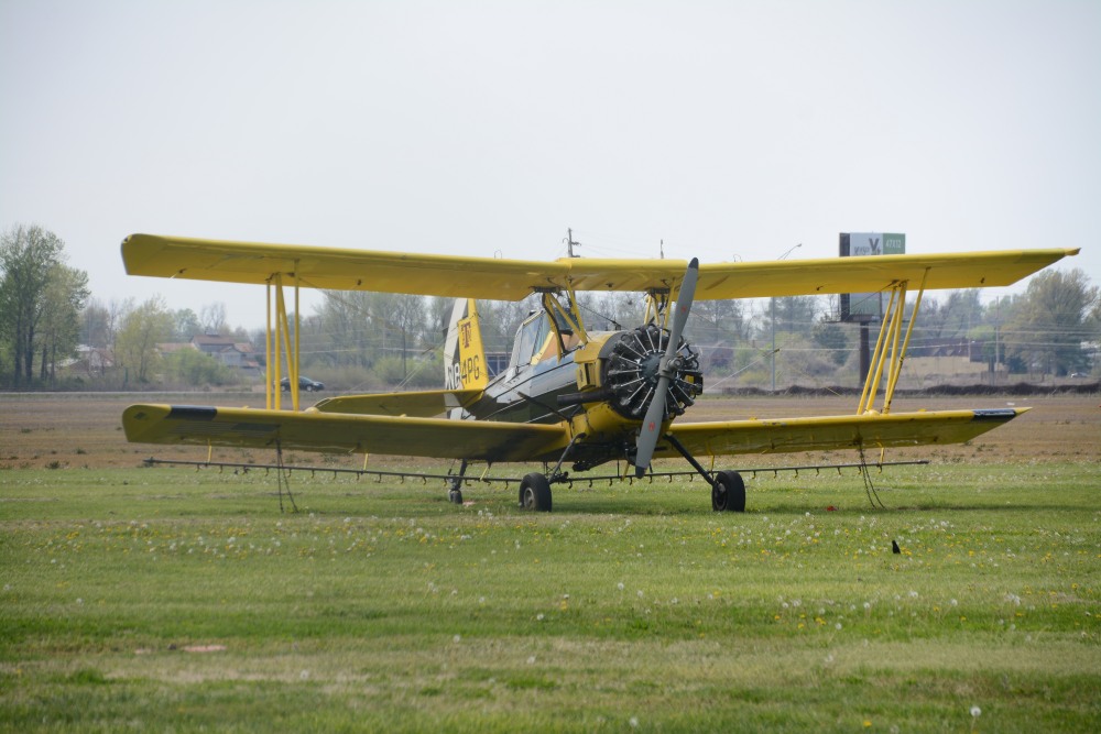 DSC_5380.JPG