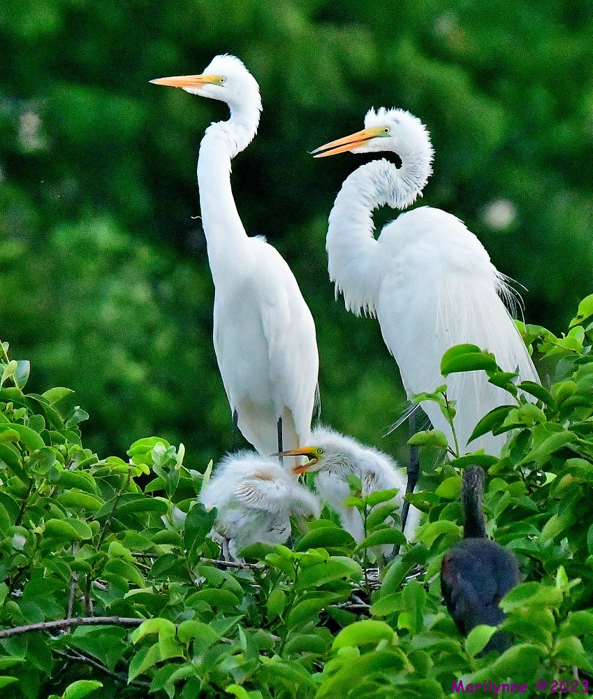 DSC_5391_001.JPG