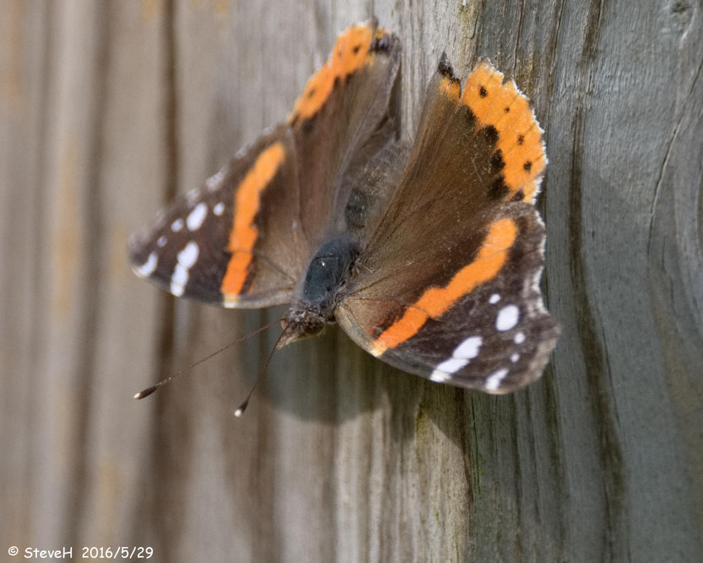 DSC_5393.jpg