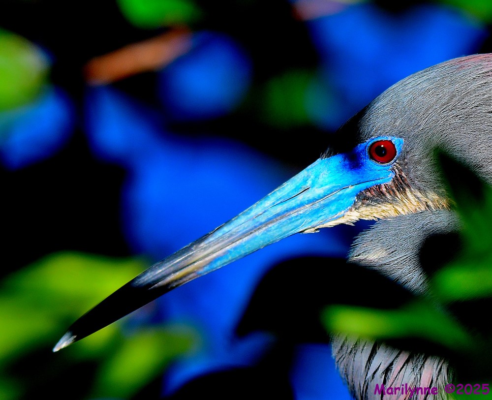 DSC_5400_001.JPG