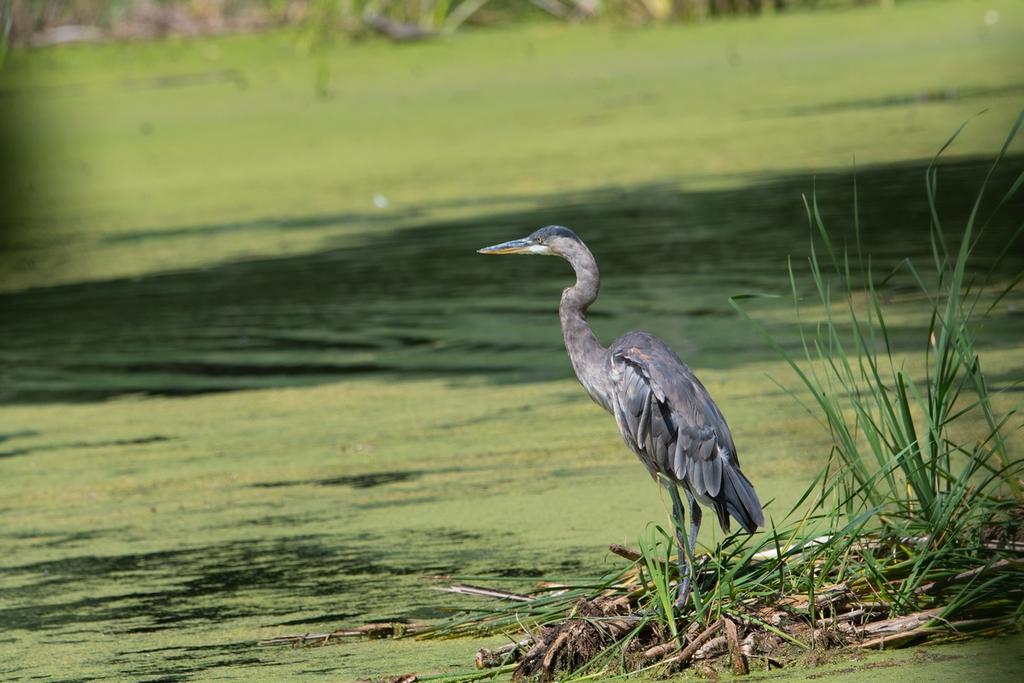DSC_5402.jpg