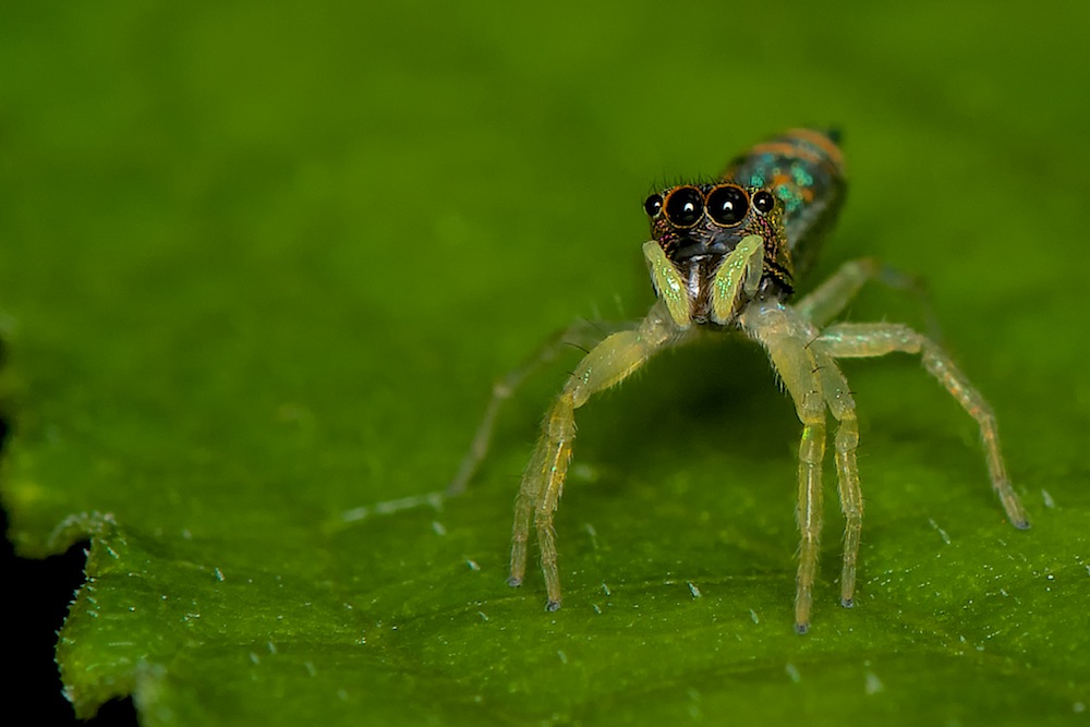 DSC_5402.jpg