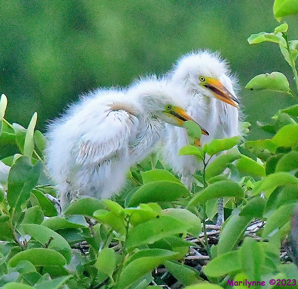 DSC_5403_001.JPG