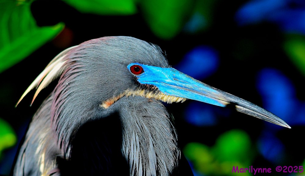 DSC_5403_001.JPG