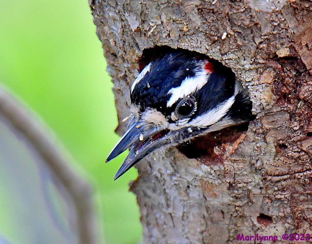 DSC_5404_001.JPG