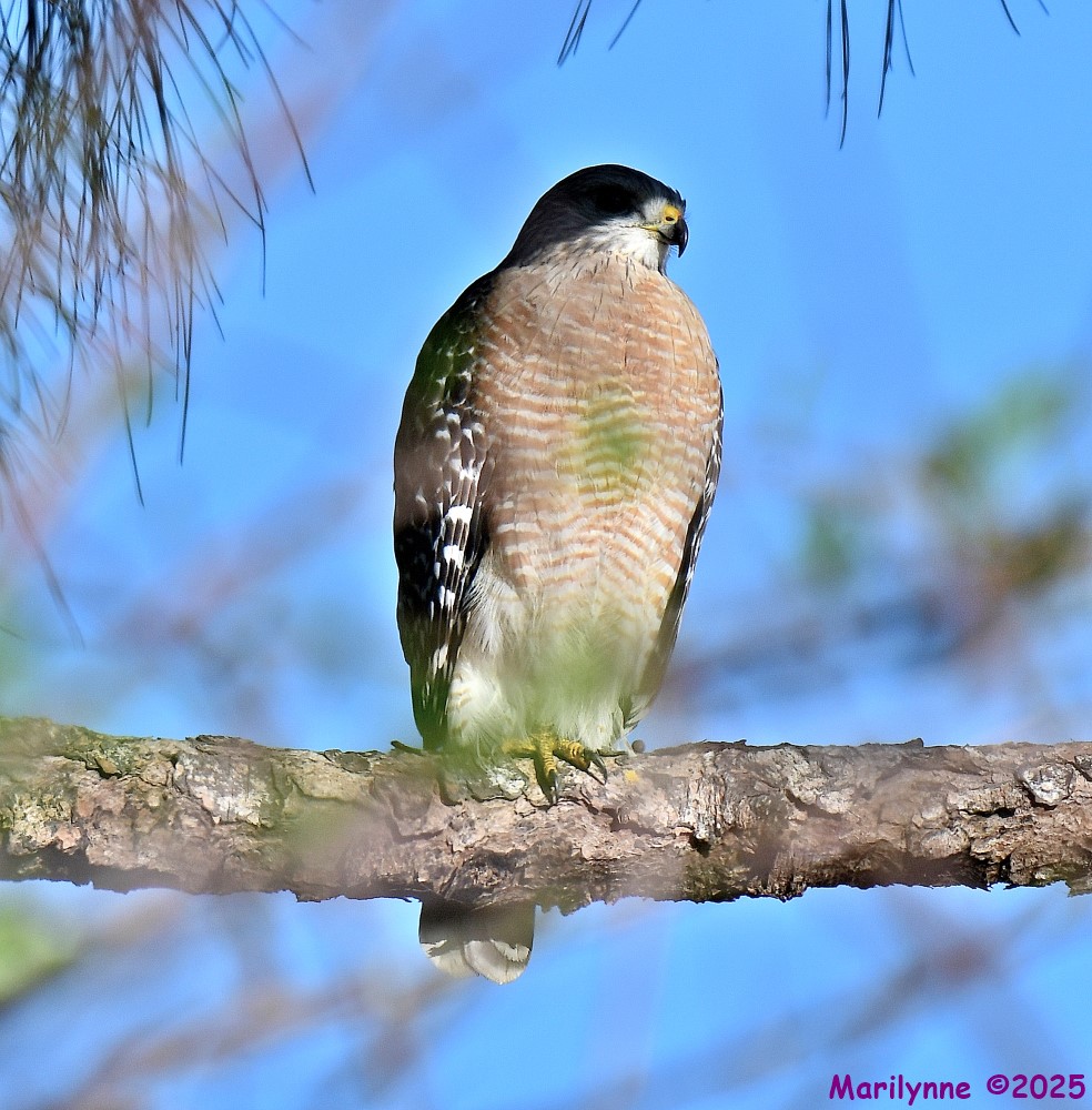 DSC_5404_stitch3_001.JPG