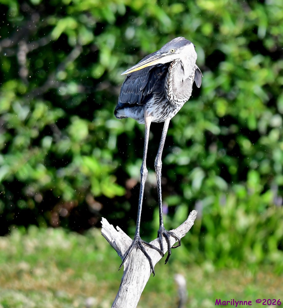 DSC_5407_001.JPG