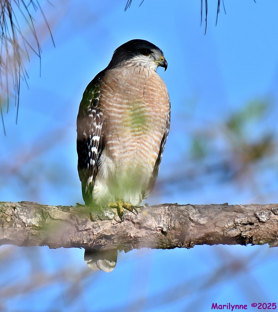 DSC_5407_stitch3_001.JPG