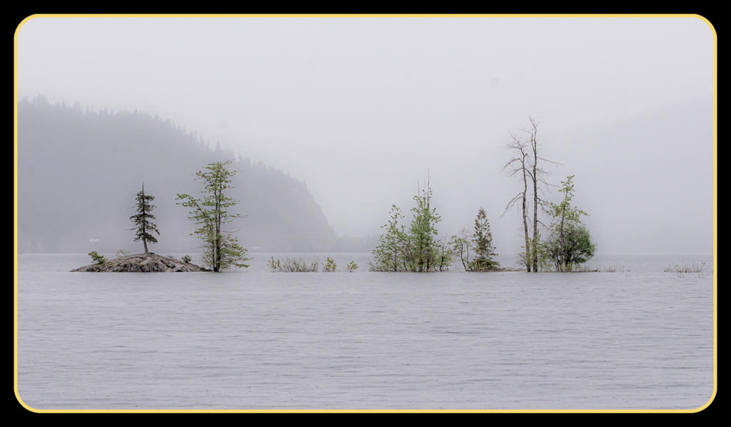 DSC_5409-Edit-Edit.jpg