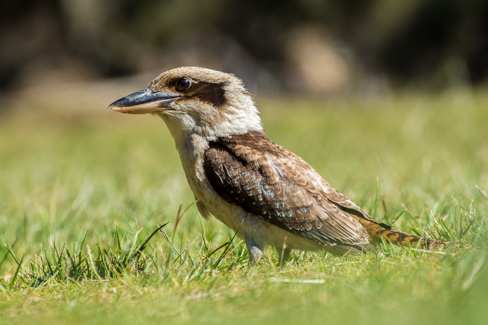 DSC_5414.jpg