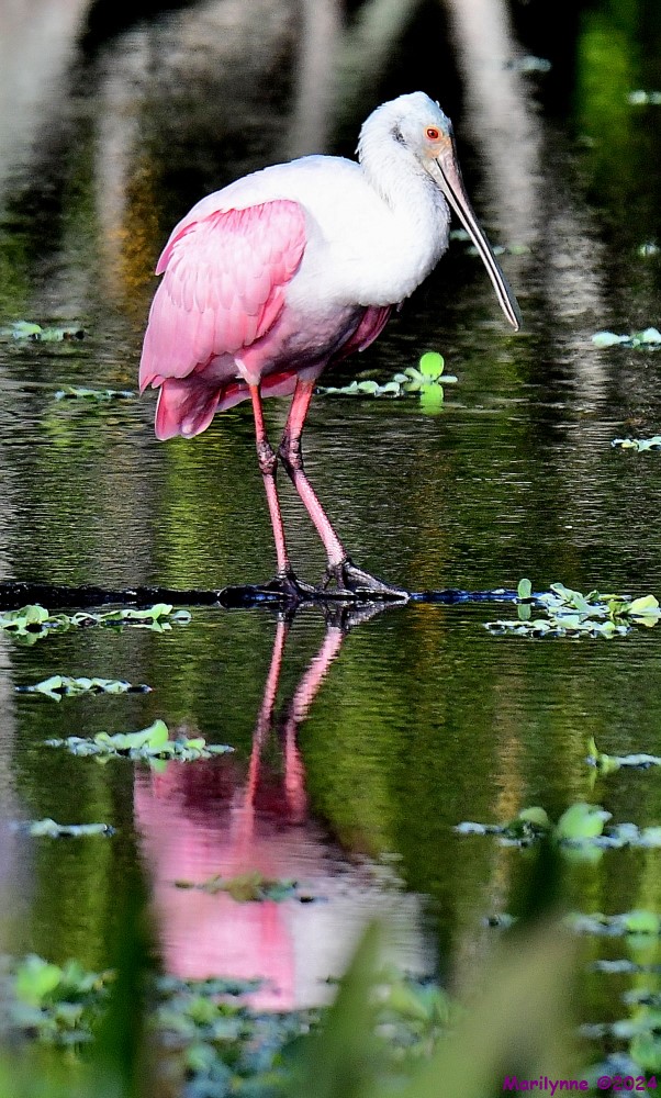DSC_5414_001.JPG