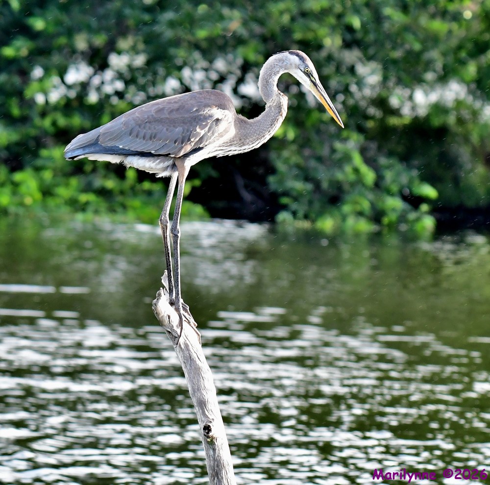 DSC_5415_001.JPG