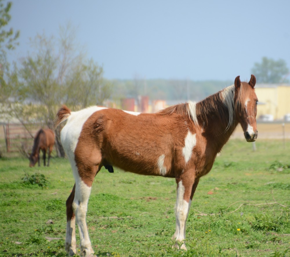DSC_5416.JPG
