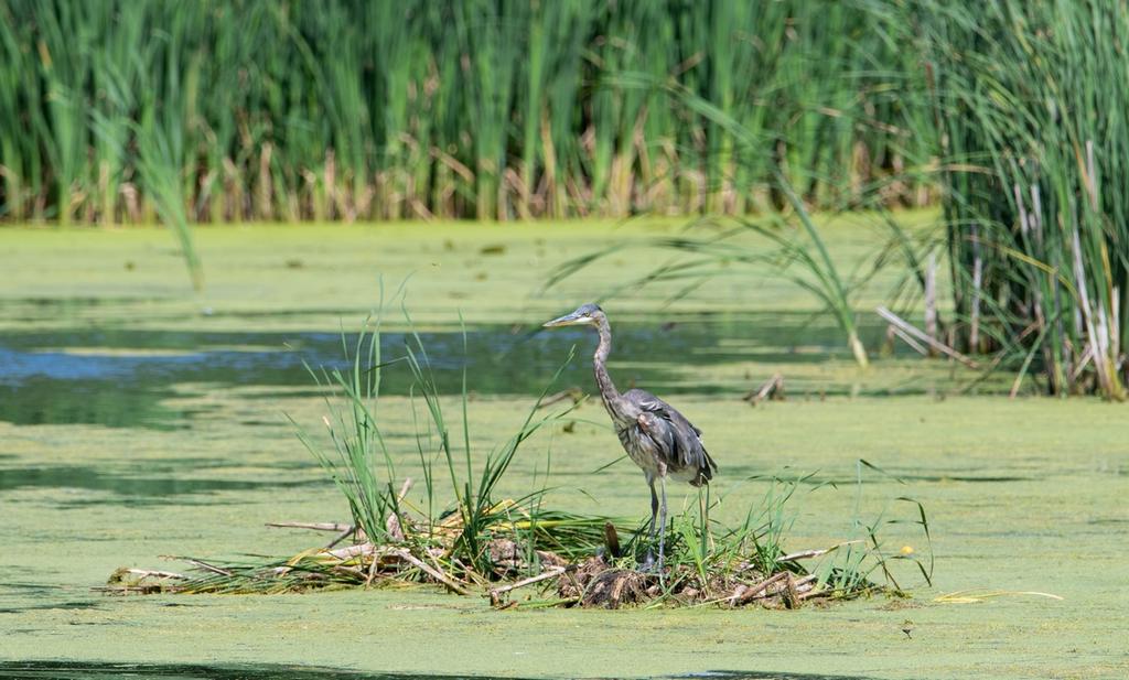DSC_5420.jpg