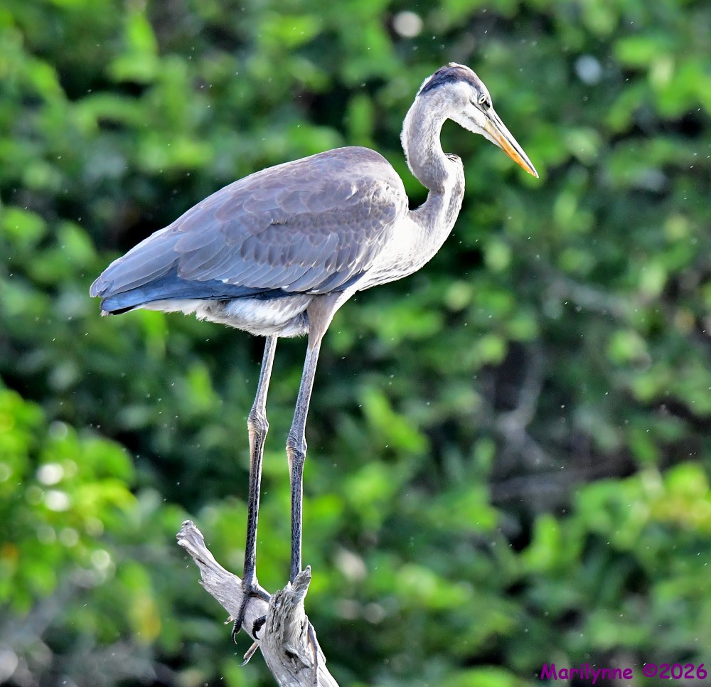 DSC_5420_001.JPG
