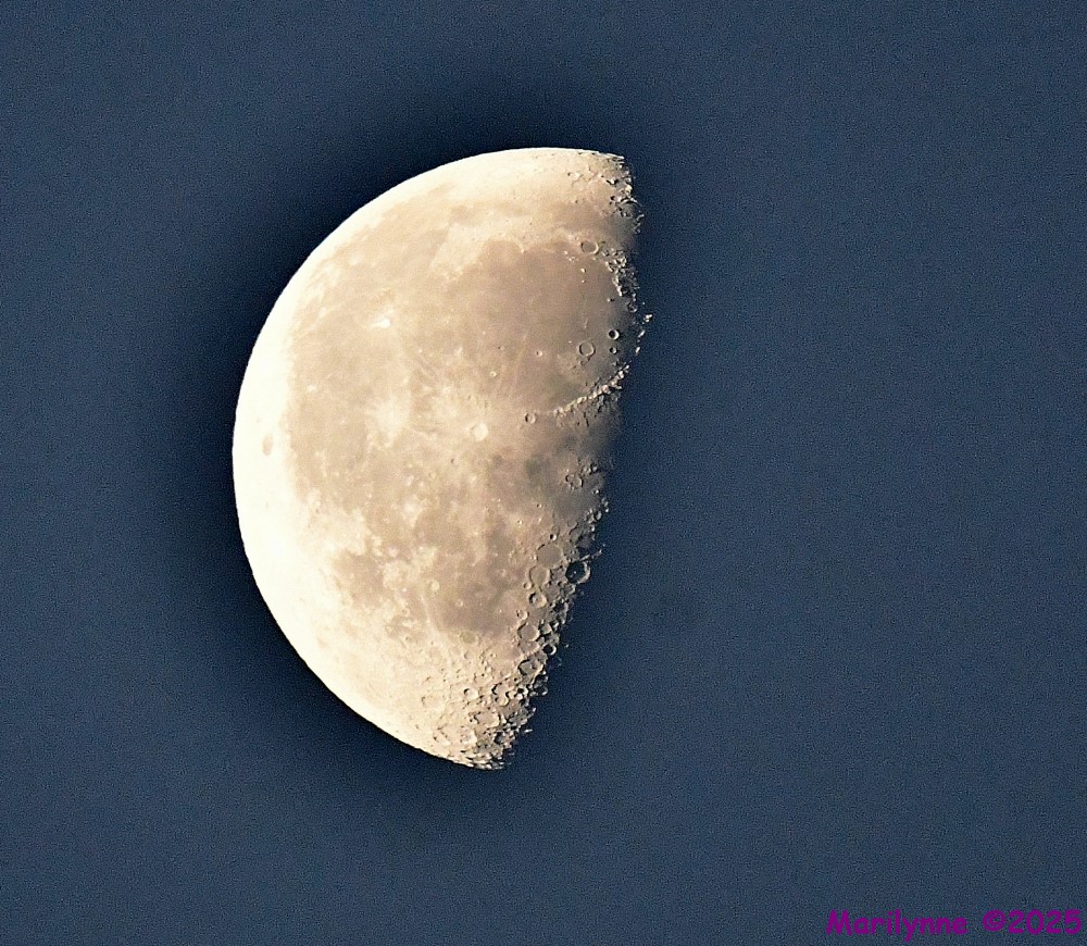 DSC_5425_001.JPG